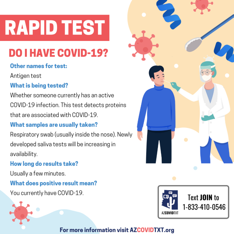 english Graphic of Covid Test: Rapid Test