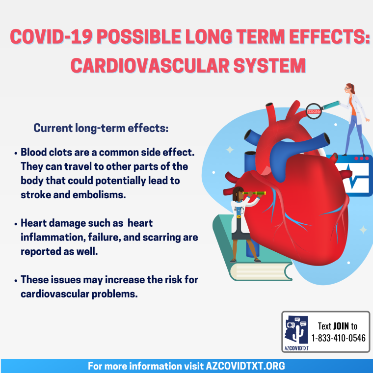 Graphic of COVID Possible Long Term Effects: Cardiovascular Systems english